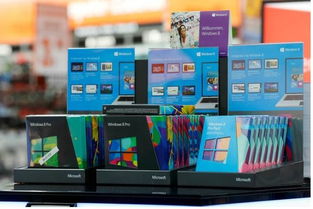 Windows 8 Pro软件开发环境与成本分析