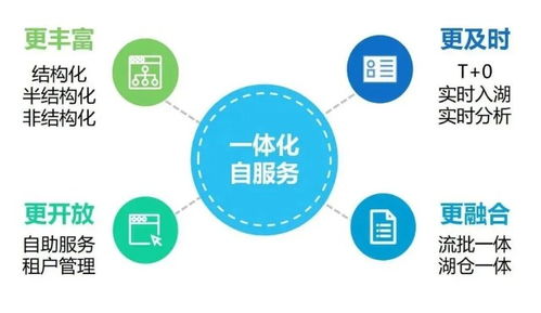 数据湖 新型大数据解决方案及其建设与处理存储服务